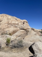 IMG 4377